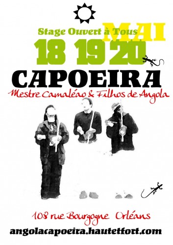 stage capoeira,Camaleão
