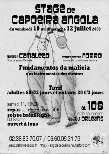 flyjulycapoeira copie.jpg